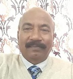 উপ সভাপতি